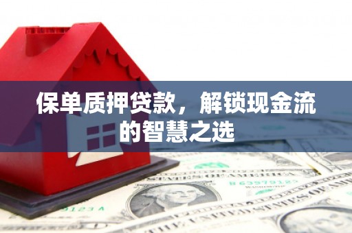 文登保单质押贷款，解锁现金流的智慧之选