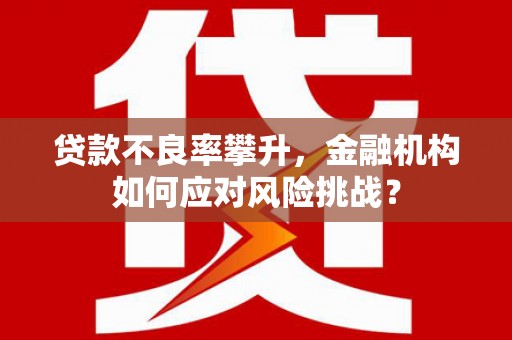 文登贷款不良率攀升，金融机构如何应对风险挑战？
