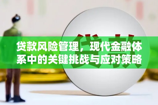 文登贷款风险管理，现代金融体系中的关键挑战与应对策略