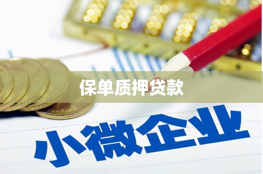 文登保单质押贷款