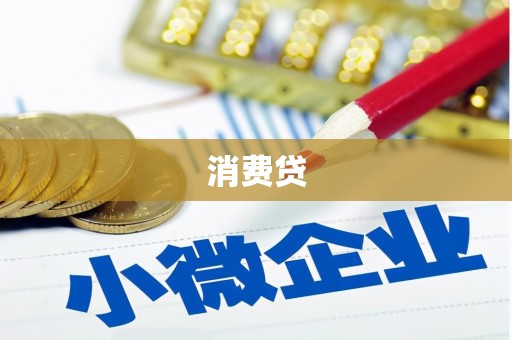 文登消费贷