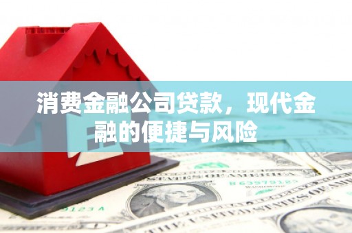 文登消费金融公司贷款，现代金融的便捷与风险