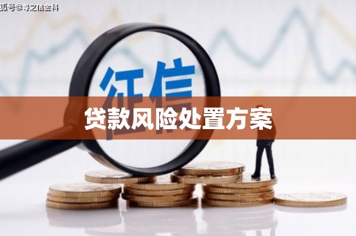 文登贷款风险处置方案