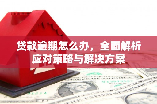 文登贷款逾期怎么办，全面解析应对策略与解决方案