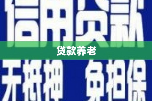 文登贷款养老
