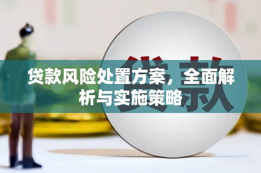 文登贷款风险处置方案，全面解析与实施策略