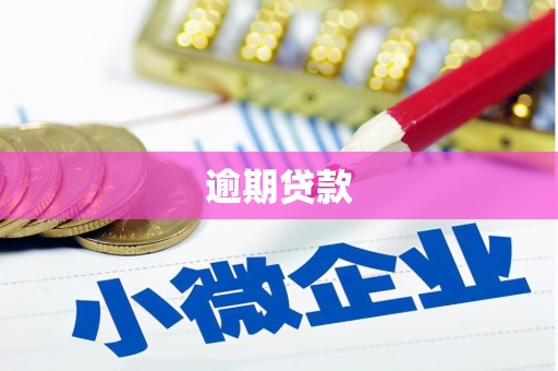 文登逾期贷款